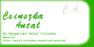 csinszka antal business card